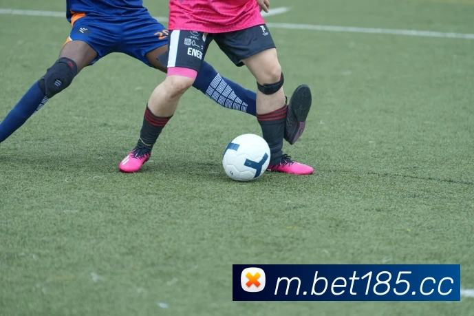 bet365com平台生态图